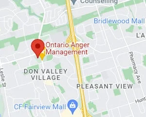 Anger Control Map